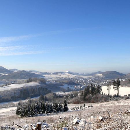 Waldhotel Schinkenwirt Olsberg Bagian luar foto