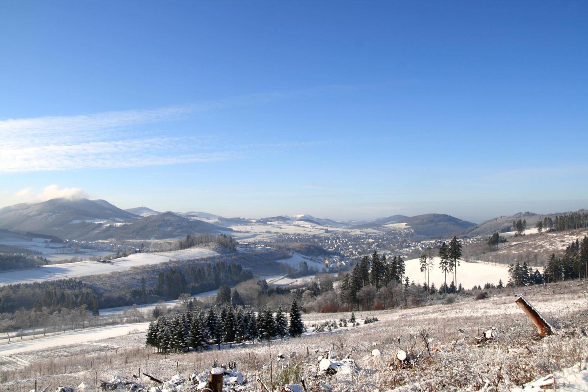 Waldhotel Schinkenwirt Olsberg Bagian luar foto