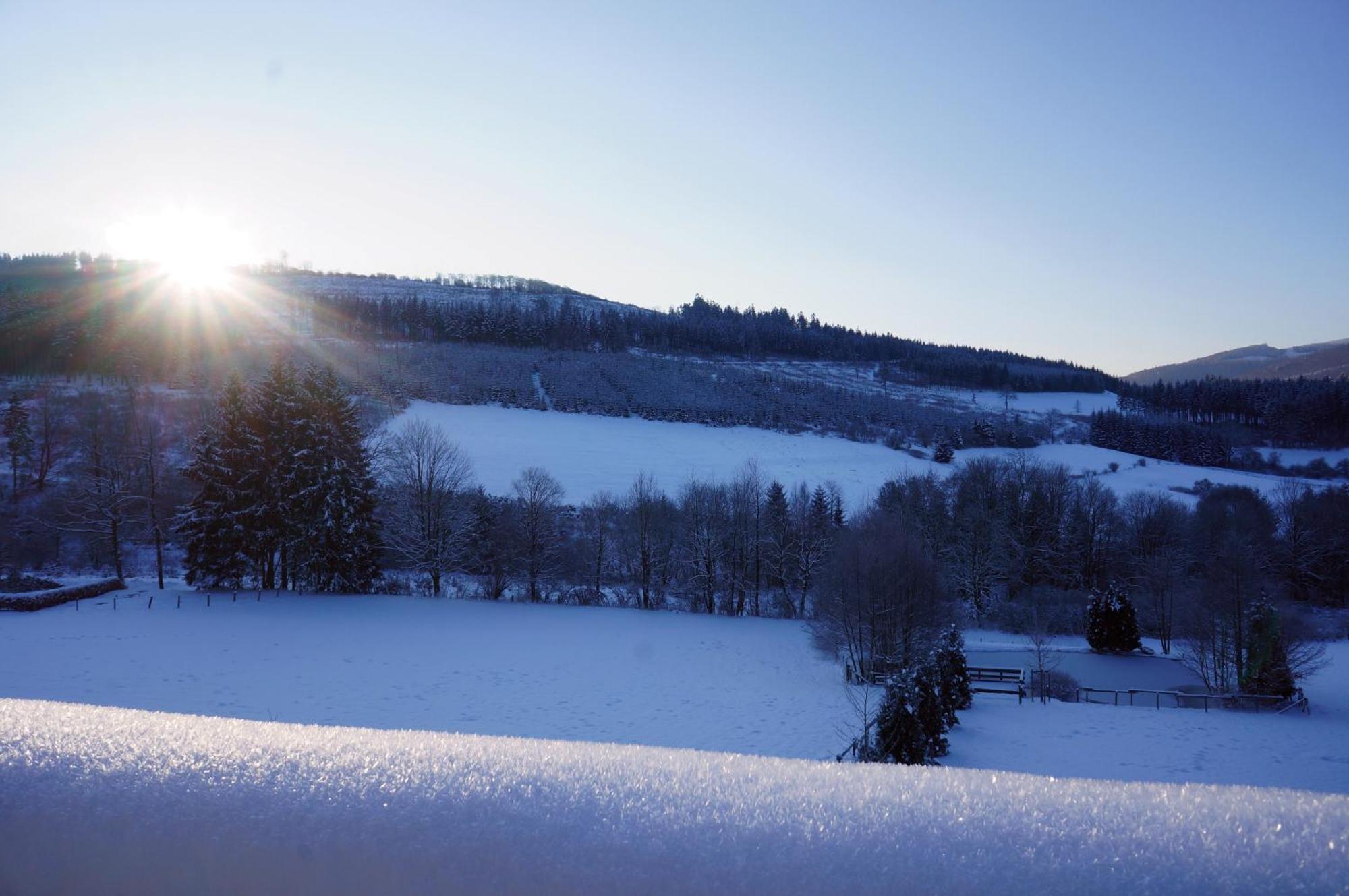 Waldhotel Schinkenwirt Olsberg Bagian luar foto