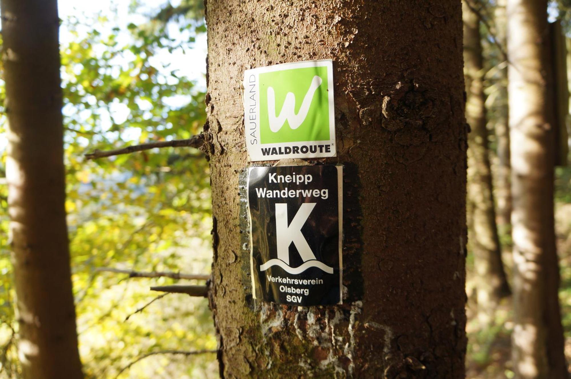 Waldhotel Schinkenwirt Olsberg Bagian luar foto