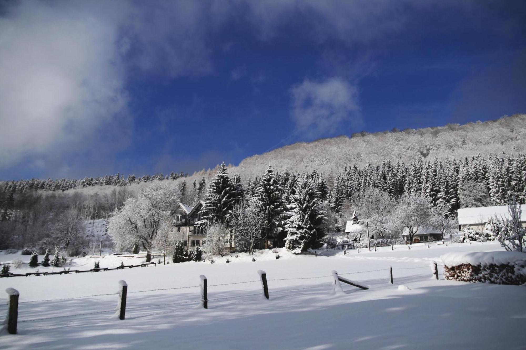 Waldhotel Schinkenwirt Olsberg Bagian luar foto