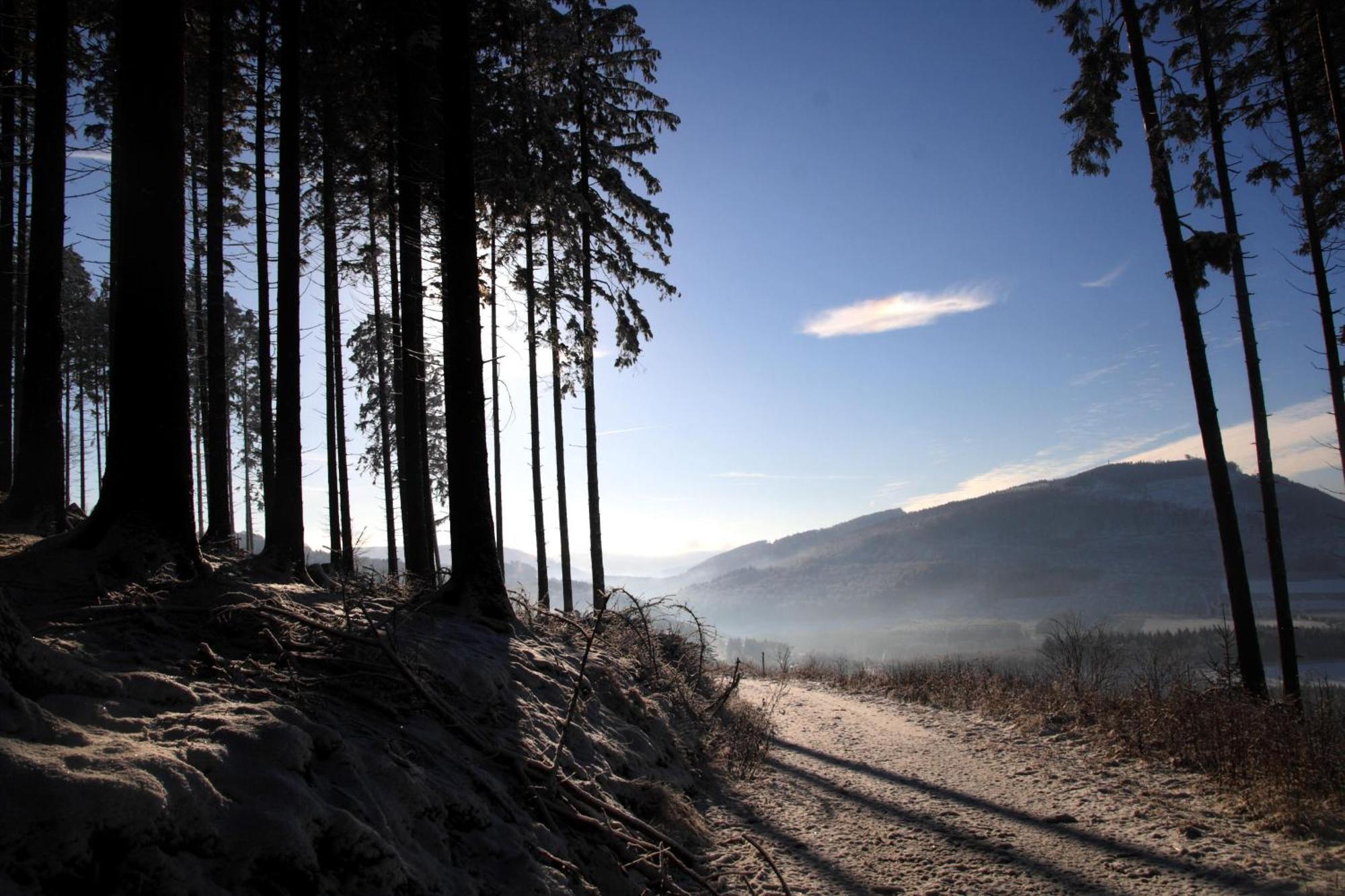 Waldhotel Schinkenwirt Olsberg Bagian luar foto