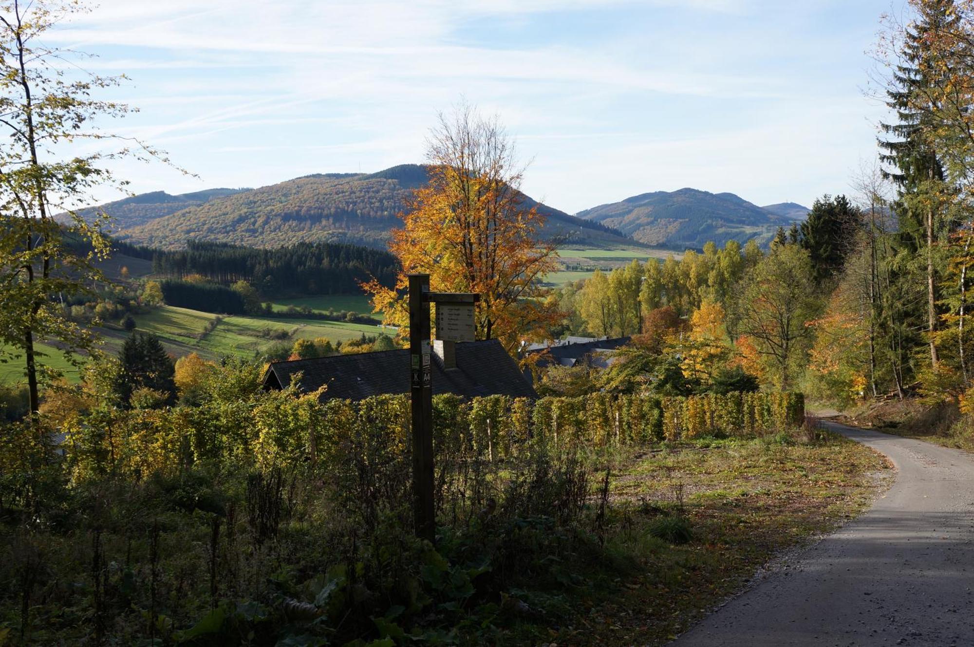 Waldhotel Schinkenwirt Olsberg Bagian luar foto