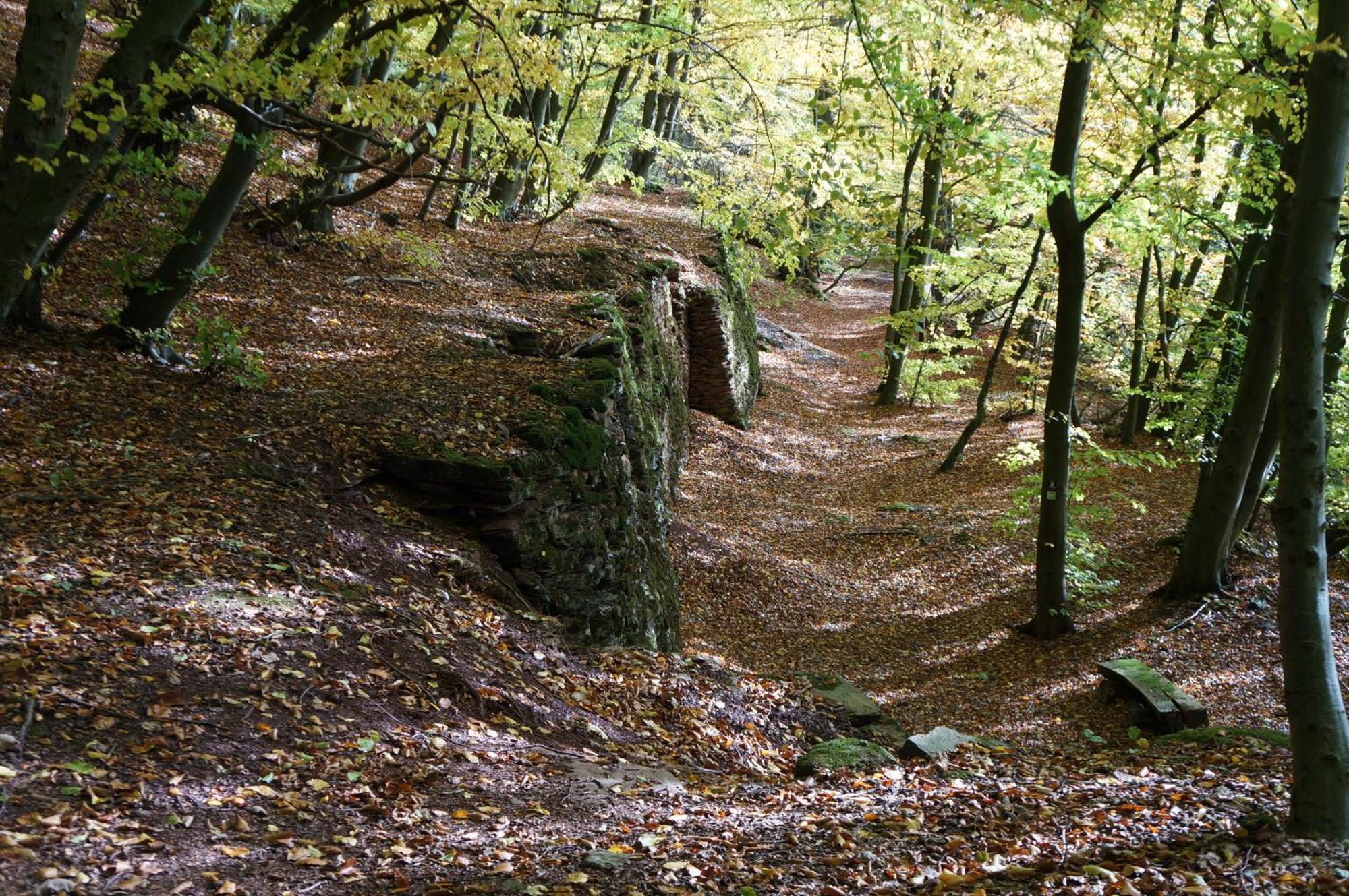 Waldhotel Schinkenwirt Olsberg Bagian luar foto